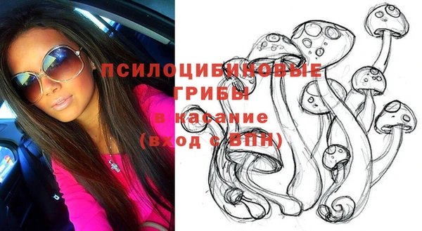 дурь Абинск