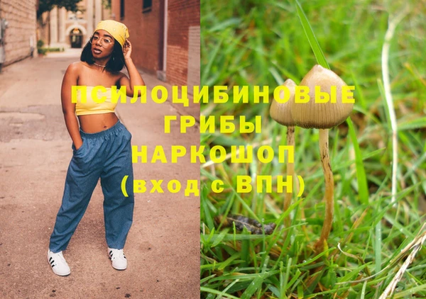 бутират Алзамай